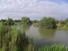 Tylers Common Fishery, Brentwood, Essex