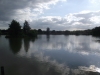 Tylers Common Fishery, Brentwood, Essex 