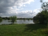 Tylers Common Fishery, Brentwood, Essex 