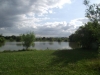 Tylers Common Fishery, Brentwood, Essex