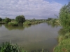 Tylers Common Fishery, Brentwood, Essex 