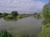 Tylers Common Fishery, Brentwood, Essex