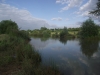 Tylers Common Fishery, Brentwood, Essex