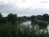 Tylers Common Fishery, Brentwood, Essex 
