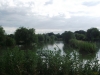 Tylers Common Fishery, Brentwood, Essex