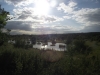 Tylers Common Fishery, Brentwood, Essex 